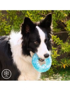 MERCAHOGAR Juguete Mordedor Congelable para Mascotas 2 en 1 Glubiz InnovaGoods