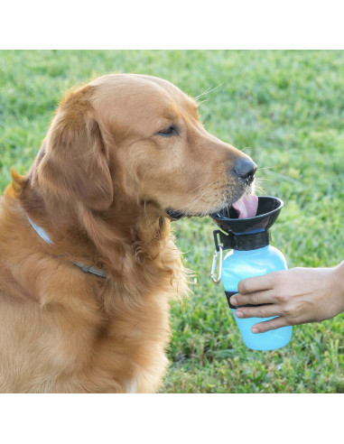 MERCAHOGAR Botella Bebedero de Agua para Perros InnovaGoods