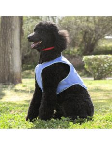 MERCAHOGAR Chaleco Refrescante para Mascotas Medianas InnovaGoods - M