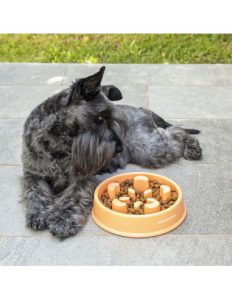 MERCAHOGAR Comedero de Alimentación Lenta para Mascotas Slowfi InnovaGoods